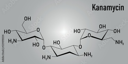 Kanamycin antibiotic drug molecule (aminoglycoside). Skeletal formula. photo