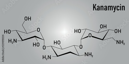 Kanamycin antibiotic drug molecule (aminoglycoside). Skeletal formula.
