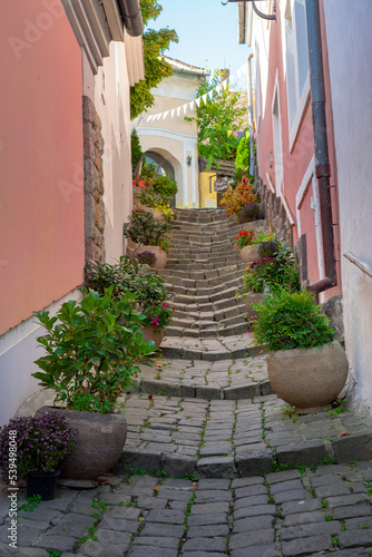Fototapeta Naklejka Na Ścianę i Meble -  Beautiful colorful cityscape of Szentendre with autumn flower pots on a narrow stairway