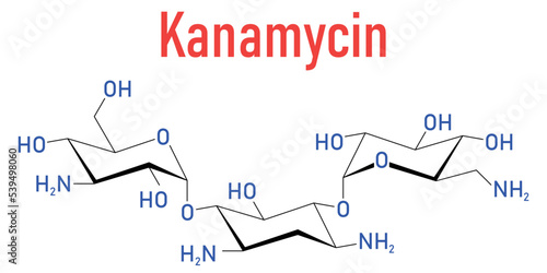 Kanamycin antibiotic drug molecule (aminoglycoside). Skeletal formula.
