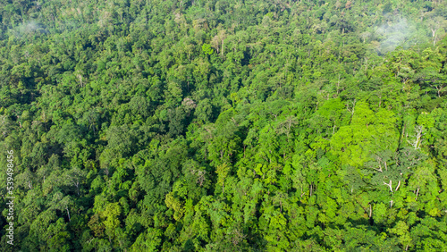 Aerial photo of tropical forest in Aceh Province, Indonesia. 