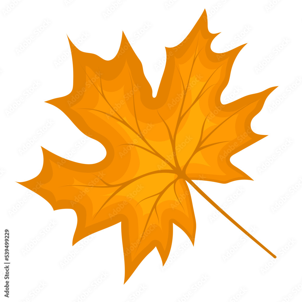 Maple Fall Leaf Maple Fall Leaf