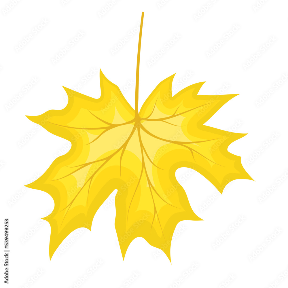 Maple Fall Leaf Maple Fall Leaf