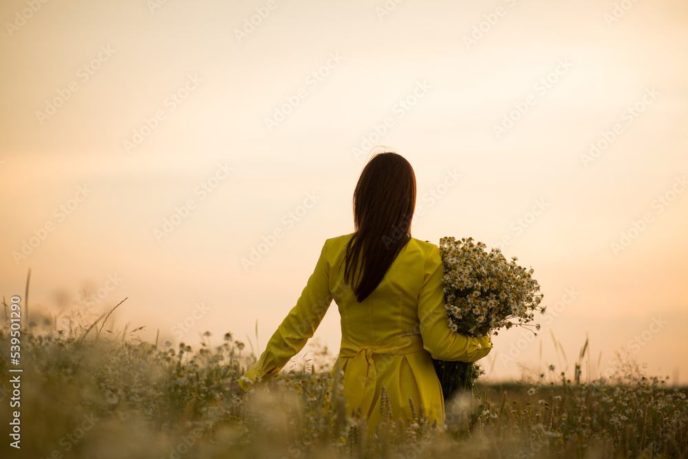 Fototapeta premium a girl in a yellow dress at sunset in a chamomile field with a bouquet of daisies