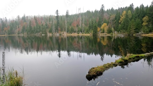 Lake Laka with floating islands on the surface is the smallest, shallowest and highest glacial lake in Šumava.