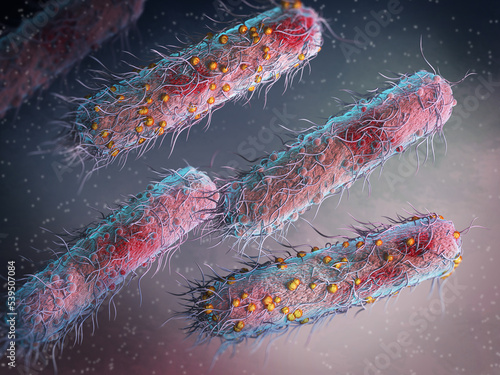 Medical background, bacteria facultative anaerobes, Salmonella, enterobacteria, rod-shaped, flagella over the entire surface, causative agent of salmonella infection, pathogen, 3D rendering photo