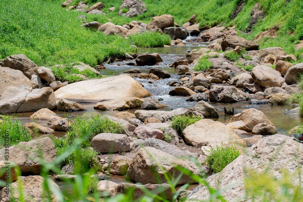 Stream of water in the forest,small water fall in spring.
