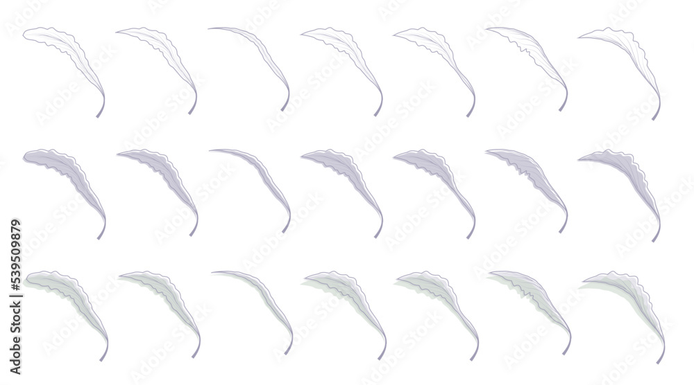 set design elements 3. Collection of frame leaf and tree vector set design elements 3. Collection of frame leaf and tree vector