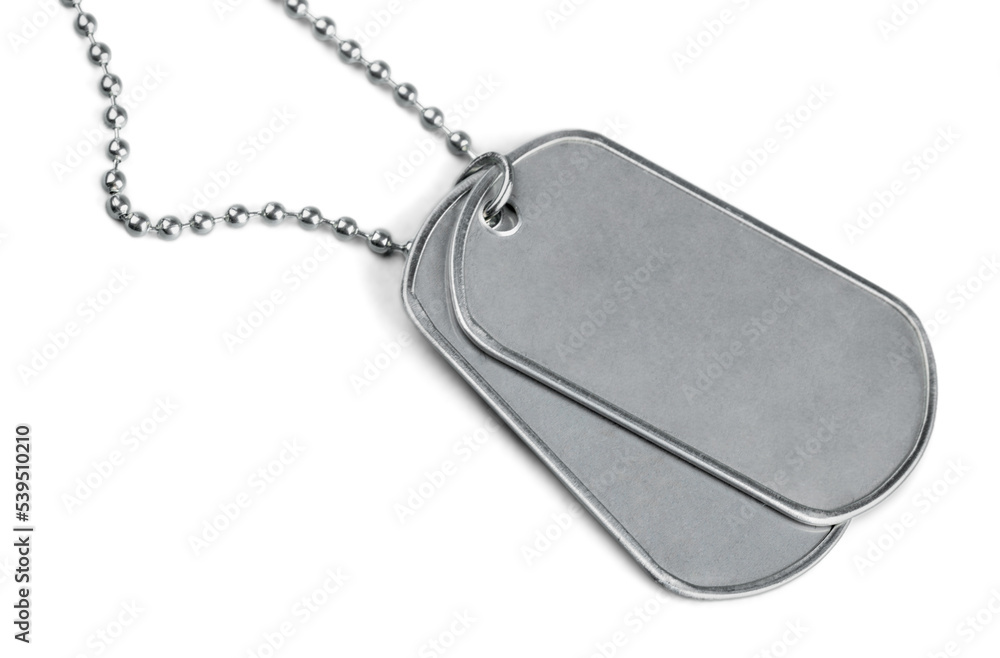 Fototapeta premium Blank Dog Tags