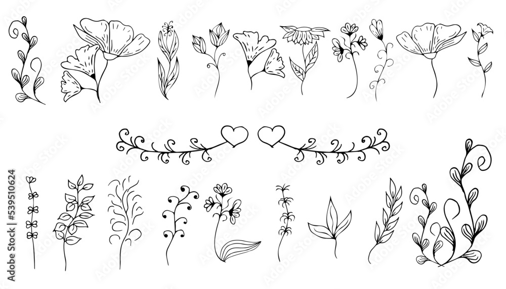 Set of decorative flowers, grass, leaves, contour hand drawing. Can be used for your decorations or tattoos