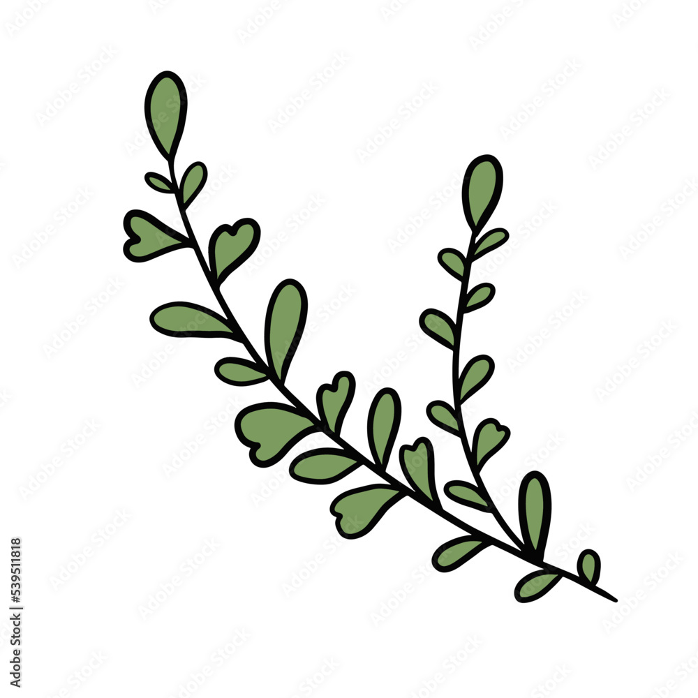 Green wild herb. Hand drawn vector doodle illustration of a flat green floral. Design for a botanical concept.