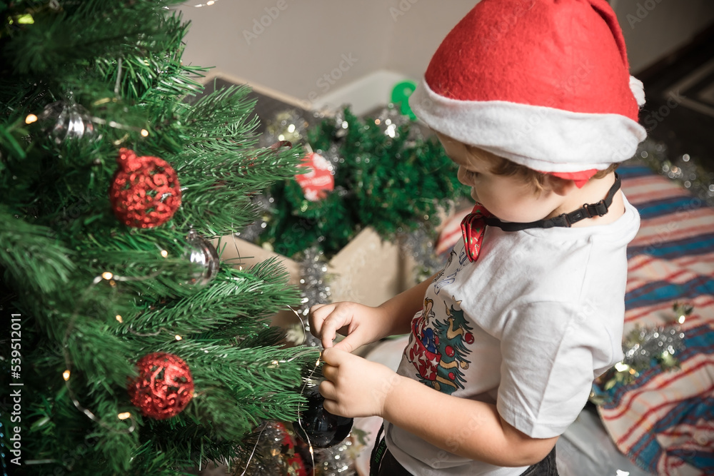 A little boy in a red hat is decorating a Christmas tree.