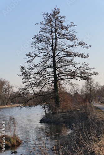 An der Doanu in Ulm, Friedrichsau