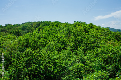 Panorama of Town of Samobor in Croatia