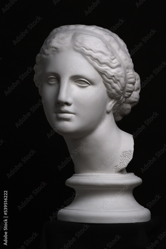 A copy of the plaster ancient Greek bust of Aphrodite