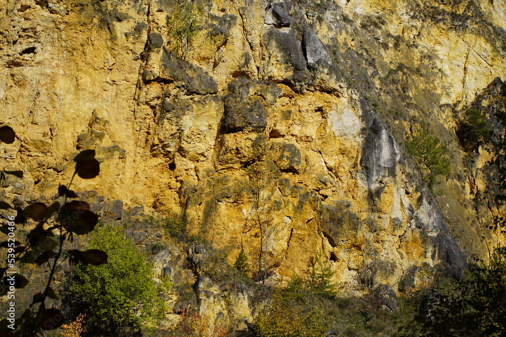 The Kelheim limestone, also called Auerkalkstein, is a limestone.This limestone was created in the Upper Jura (Malm). Bavaria, Germany The Kelheim limestone, also called Auerkalkstein, is a limestone.This limestone was created in the Upper Jura (Malm). Bavaria, Germany