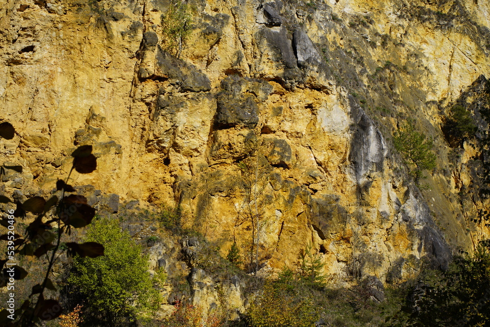 The Kelheim limestone, also called Auerkalkstein, is a limestone.This limestone was created in the Upper Jura (Malm). Bavaria, Germany