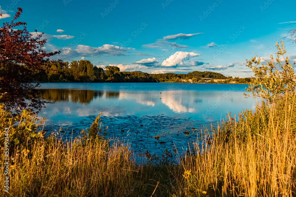 Beautiful summer view with reflections at a pond near Plattling, Isar, Bavaria, Germany Beautiful summer view with reflections at a pond near Plattling, Isar, Bavaria, Germany