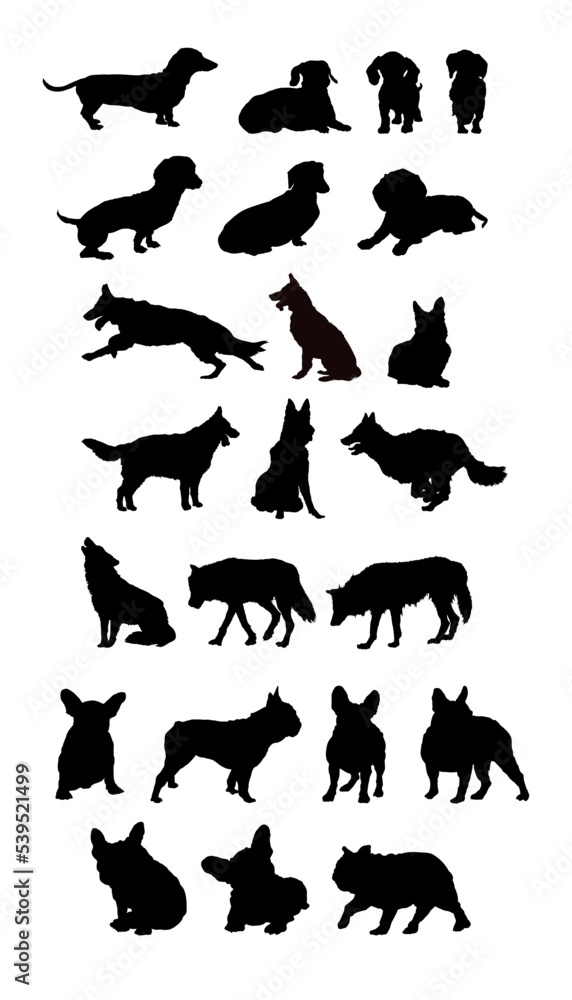 Dog. A large set of dogs silhouettes. Different races. 