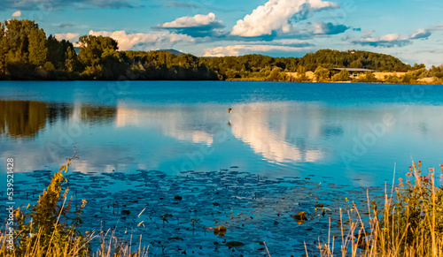 Beautiful summer view with reflections at a pond near Plattling, Isar, Bavaria, Germany