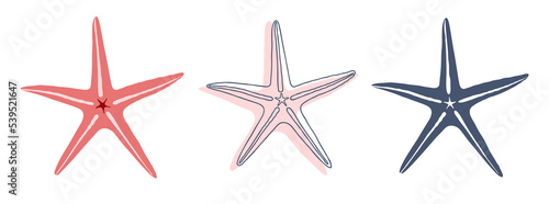 Sea stars. Three vector starfish: red, a line on a pink abstract spot and a silhouette. Vector illustration isolated on white background.