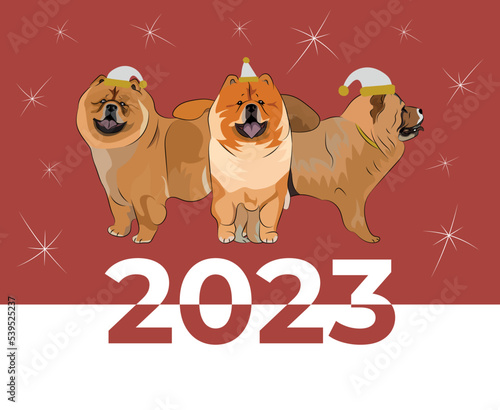 Chow Chow dog drawing. Cute dog characters in various poses, designs for prints, adorable and cute Christmas dog Chinese breed cartoon vector set, in different poses in hats. New year poster.