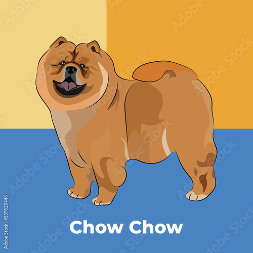 Greeting card with a sitting staying Chow Chow breed dog. Colorful dog art. The postcard is for dog lovers. Pet character postcard art. Funny dog mascot, and a detailed dog illustration.