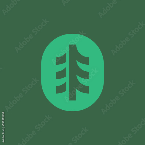 Nature logo design concept.  Minimal icon of abstract tree spruce. Geometric element needles. Modern vector illustration. Park nature emblem sign symbol mark. 