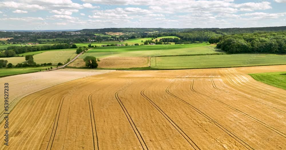 Aerial ascending view of hilly countryside with grain fields, Vijlen, Zuid Limburg, Netherlands Aerial ascending view of hilly countryside with grain fields, Vijlen, Zuid Limburg, Netherlands