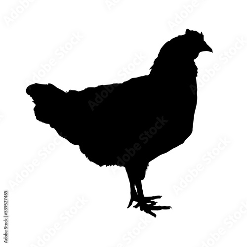 silhouette of a hen	