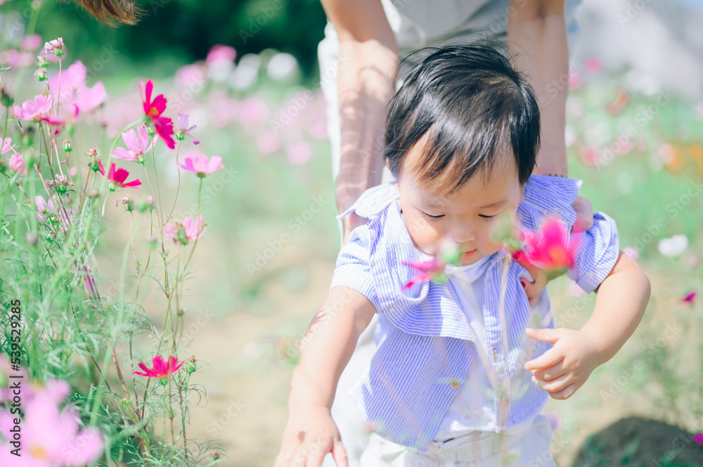 mother with little child in white blooming garden. woman with son in green leaves,happy family outdoors in spring mother with little child in white blooming garden. woman with son in green leaves,happy family outdoors in spring