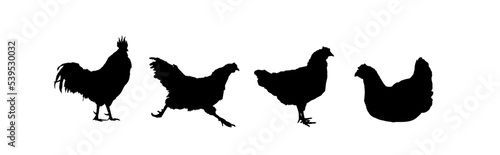 hen, chicken silhouette set - vector illustration