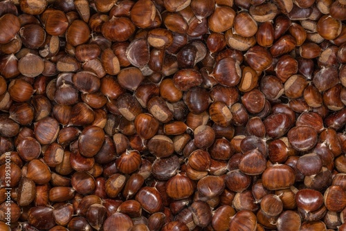 Close-up view of many chestnuts
