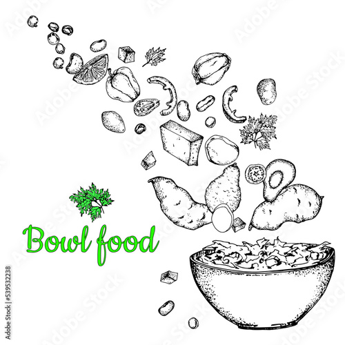 A bowl of food. Vegetarian salad with tomatoes, avocado, tofu, quinoa, beans, yams, paprika. Black white stock illustration on white background, handdrawn,Isolated,For menus,labels,restaurant designs