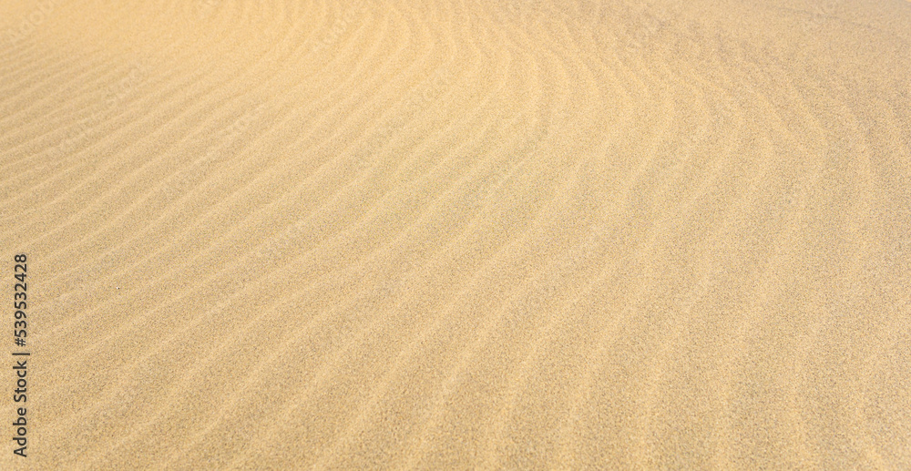 natural background, sandy desert surface with wind ripples natural background, sandy desert surface with wind ripples