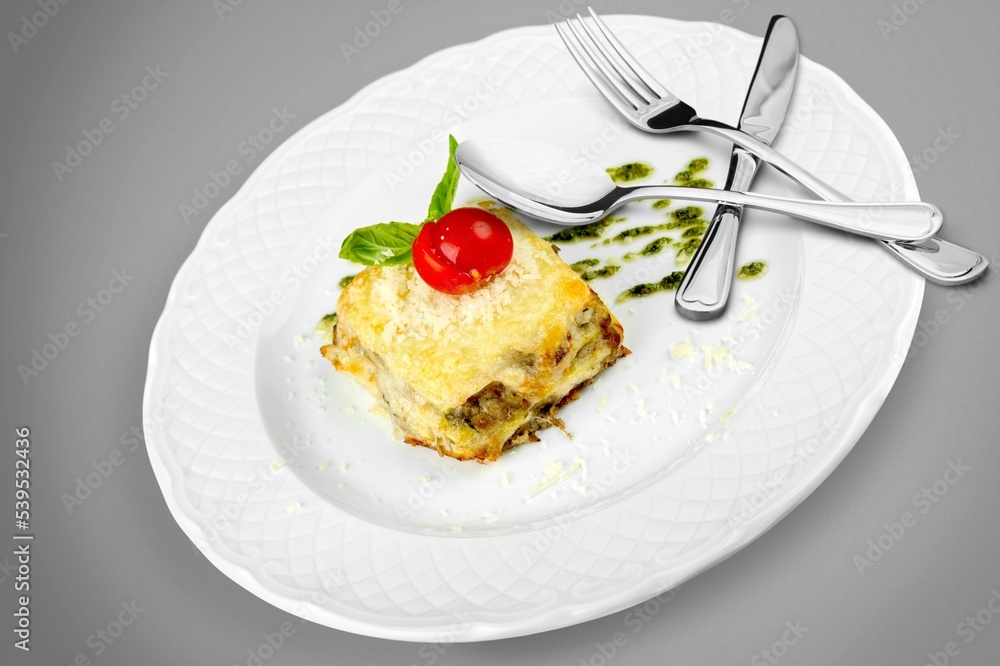 Tasty fresh traditional lasagna with meat Tasty fresh traditional lasagna with meat