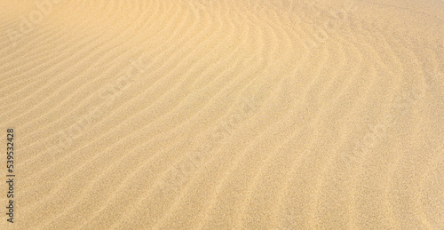natural background, sandy desert surface with wind ripples