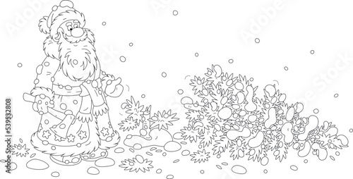 Santa Claus with an axe and a felled fir tree on a snowy forest glade, black and white vector cartoon illustration