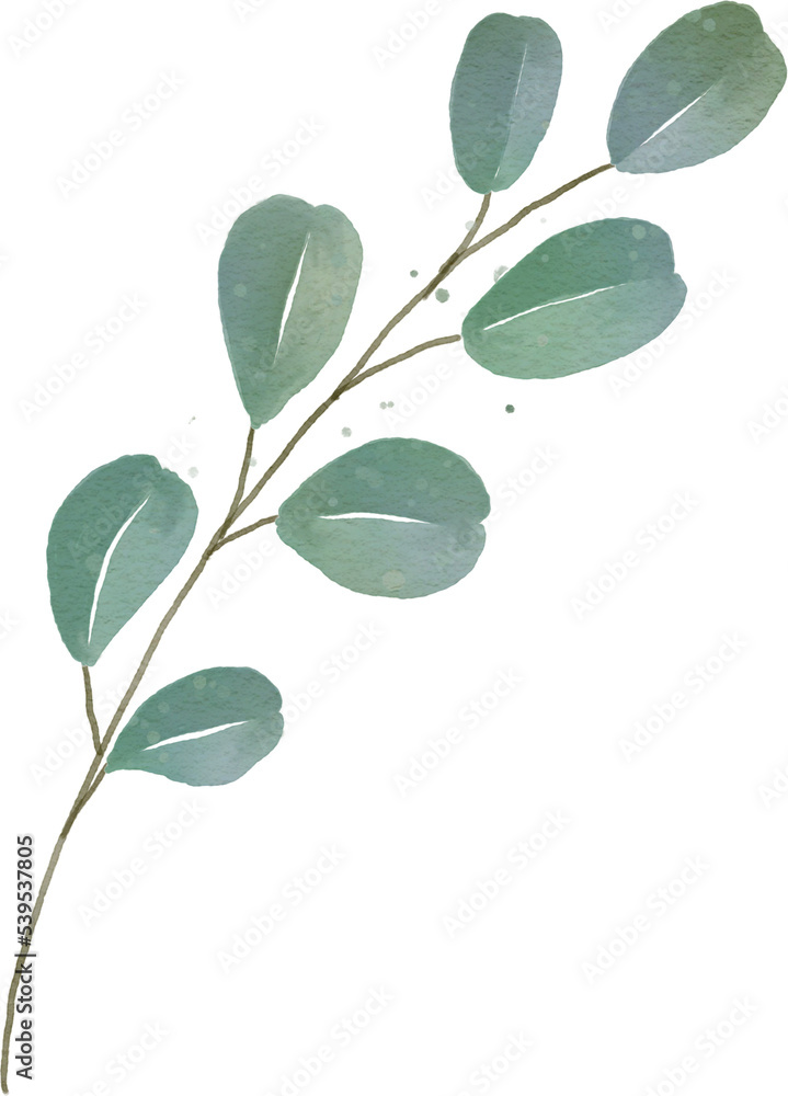 leaf watercolor Clipart