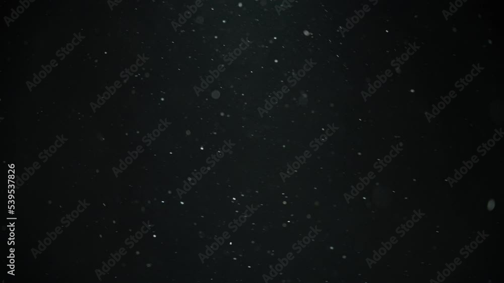White dust particles flowing in the air on black background. Slow motion. White dust particles flowing in the air on black background. Slow motion.