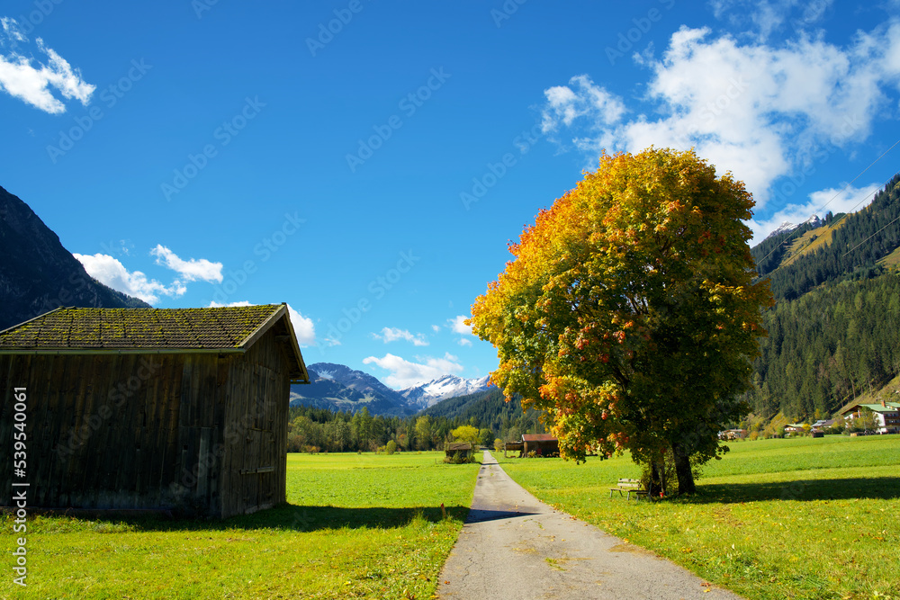 Indian summer in fall in the alpine valley of Holzgau in Tyrol Austria Indian summer in fall in the alpine valley of Holzgau in Tyrol Austria