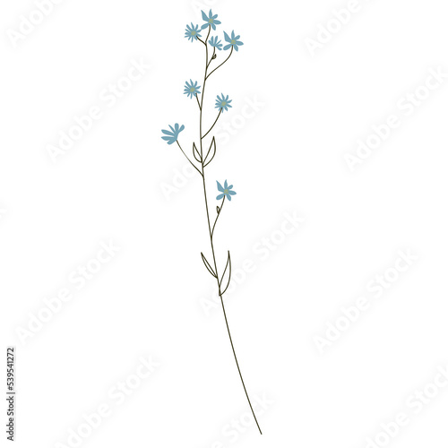 Fototapeta Naklejka Na Ścianę i Meble -  Wild Flower Icon. Hand Drawn Illustration