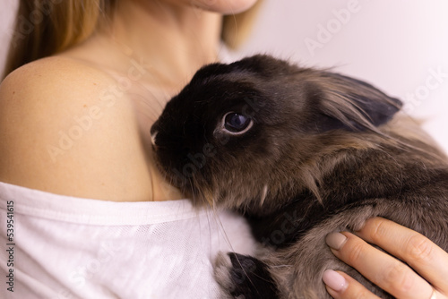 Close up woman holding cute fluffy rabbit, animal and pet concept