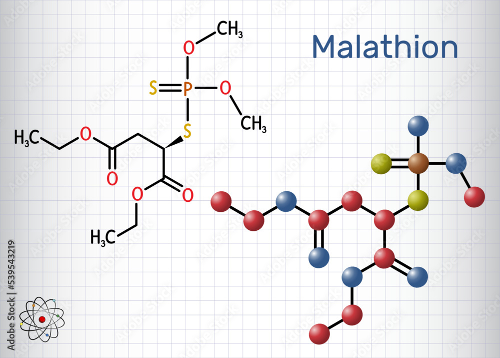 Malathion molecule. It is parasympathomimetic organophosphate used as insecticide for treatment of head lice. Structural chemical formula, molecule model. Sheet of paper in a cage Malathion molecule. It is parasympathomimetic organophosphate used as insecticide for treatment of head lice. Structural chemical formula, molecule model. Sheet of paper in a cage