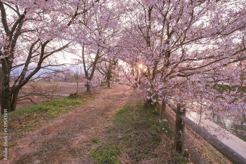 spring in the park © Ryoji