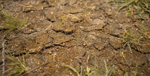 Dried-up earth in a field. Drought in the fertile fields. Cracks on the soil surface.