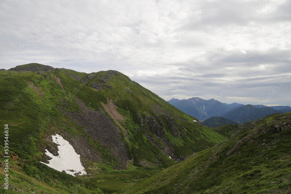 Obraz premium landscape with sky