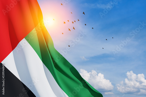 Flag of United Arab Emirates on background of blue sky with flying birds. UAE celebration. National day, Flag day, Commemoration day, Martyrs day.