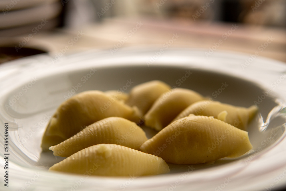 Italian pasta conchiglione without sauce Italian pasta conchiglione without sauce