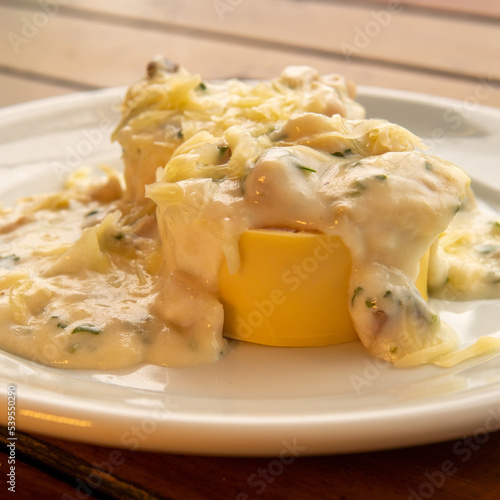 rondelli with creamy white sauce photo